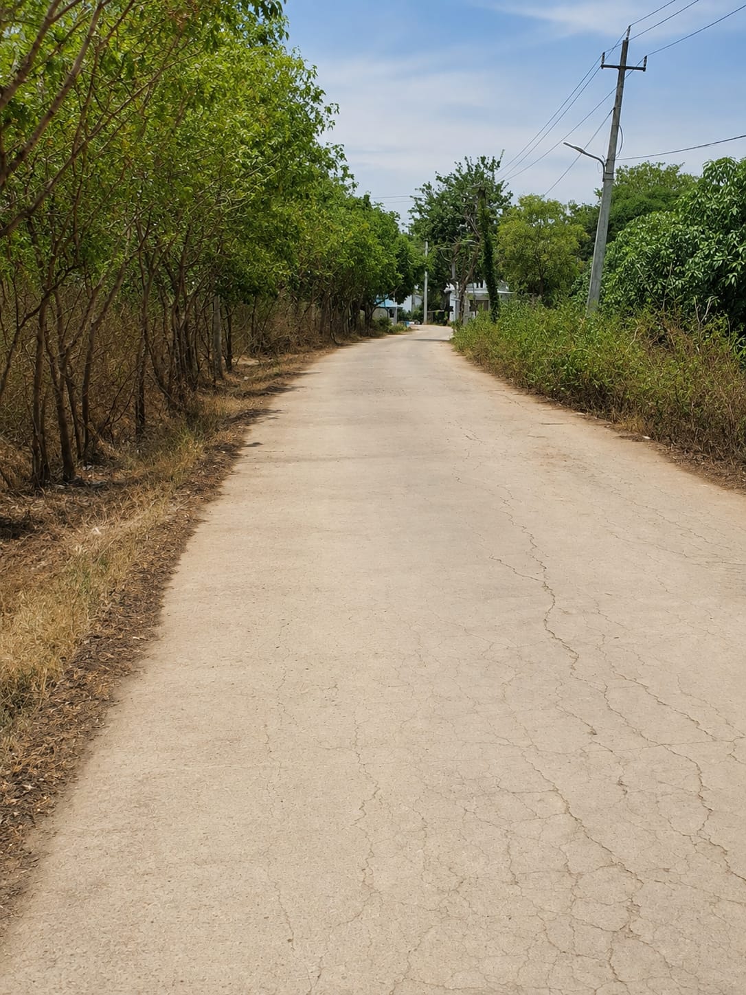 Solstice Works — Industrial Build in Kolar Industrial Belt